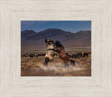 Load image into Gallery viewer, Desert Duel
