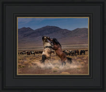 Load image into Gallery viewer, Desert Duel
