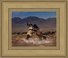 Load image into Gallery viewer, Desert Duel
