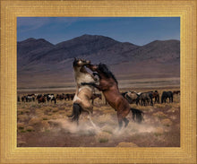 Load image into Gallery viewer, Desert Duel
