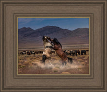 Load image into Gallery viewer, Desert Duel
