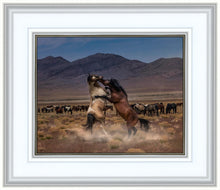 Load image into Gallery viewer, Desert Duel
