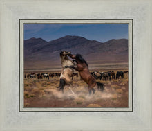 Load image into Gallery viewer, Desert Duel
