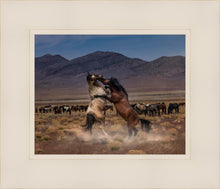 Load image into Gallery viewer, Desert Duel
