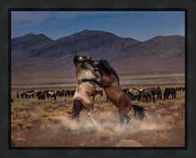 Load image into Gallery viewer, Desert Duel
