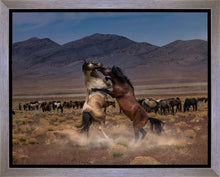Load image into Gallery viewer, Desert Duel
