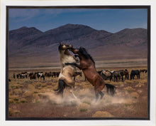 Load image into Gallery viewer, Desert Duel
