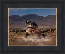 Load image into Gallery viewer, Desert Duel
