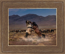 Load image into Gallery viewer, Desert Duel
