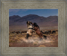 Load image into Gallery viewer, Desert Duel
