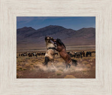 Load image into Gallery viewer, Desert Duel
