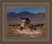 Load image into Gallery viewer, Desert Duel
