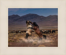 Load image into Gallery viewer, Desert Duel
