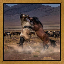 Load image into Gallery viewer, Desert Duel

