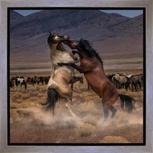 Load image into Gallery viewer, Desert Duel

