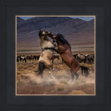 Load image into Gallery viewer, Desert Duel
