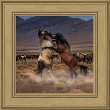 Load image into Gallery viewer, Desert Duel
