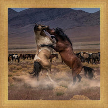 Load image into Gallery viewer, Desert Duel
