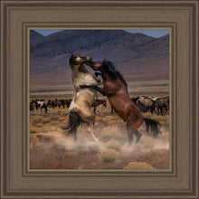 Load image into Gallery viewer, Desert Duel
