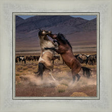Load image into Gallery viewer, Desert Duel
