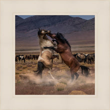 Load image into Gallery viewer, Desert Duel
