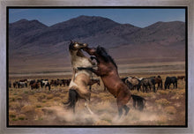Load image into Gallery viewer, Desert Duel
