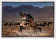 Load image into Gallery viewer, Desert Duel
