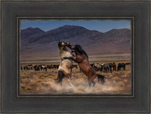Load image into Gallery viewer, Desert Duel
