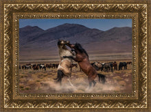 Load image into Gallery viewer, Desert Duel
