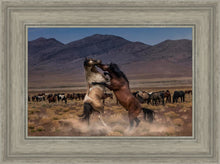 Load image into Gallery viewer, Desert Duel
