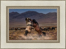 Load image into Gallery viewer, Desert Duel
