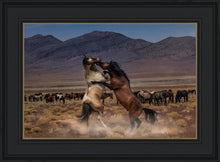 Load image into Gallery viewer, Desert Duel
