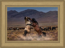 Load image into Gallery viewer, Desert Duel
