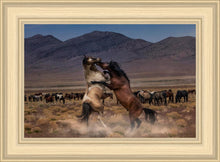 Load image into Gallery viewer, Desert Duel
