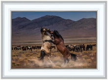 Load image into Gallery viewer, Desert Duel
