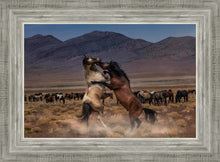 Load image into Gallery viewer, Desert Duel
