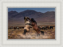 Load image into Gallery viewer, Desert Duel
