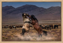 Load image into Gallery viewer, Desert Duel
