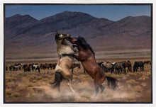 Load image into Gallery viewer, Desert Duel
