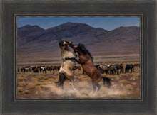 Load image into Gallery viewer, Desert Duel
