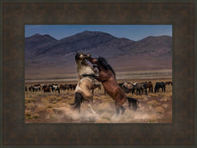 Load image into Gallery viewer, Desert Duel
