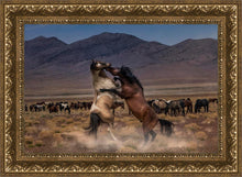 Load image into Gallery viewer, Desert Duel
