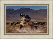 Load image into Gallery viewer, Desert Duel
