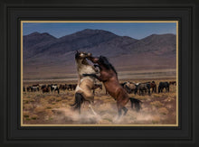 Load image into Gallery viewer, Desert Duel
