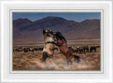 Load image into Gallery viewer, Desert Duel
