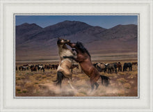 Load image into Gallery viewer, Desert Duel
