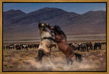 Load image into Gallery viewer, Desert Duel
