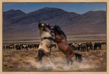 Load image into Gallery viewer, Desert Duel
