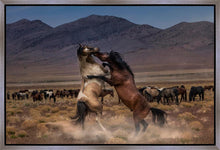 Load image into Gallery viewer, Desert Duel
