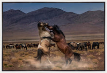 Load image into Gallery viewer, Desert Duel
